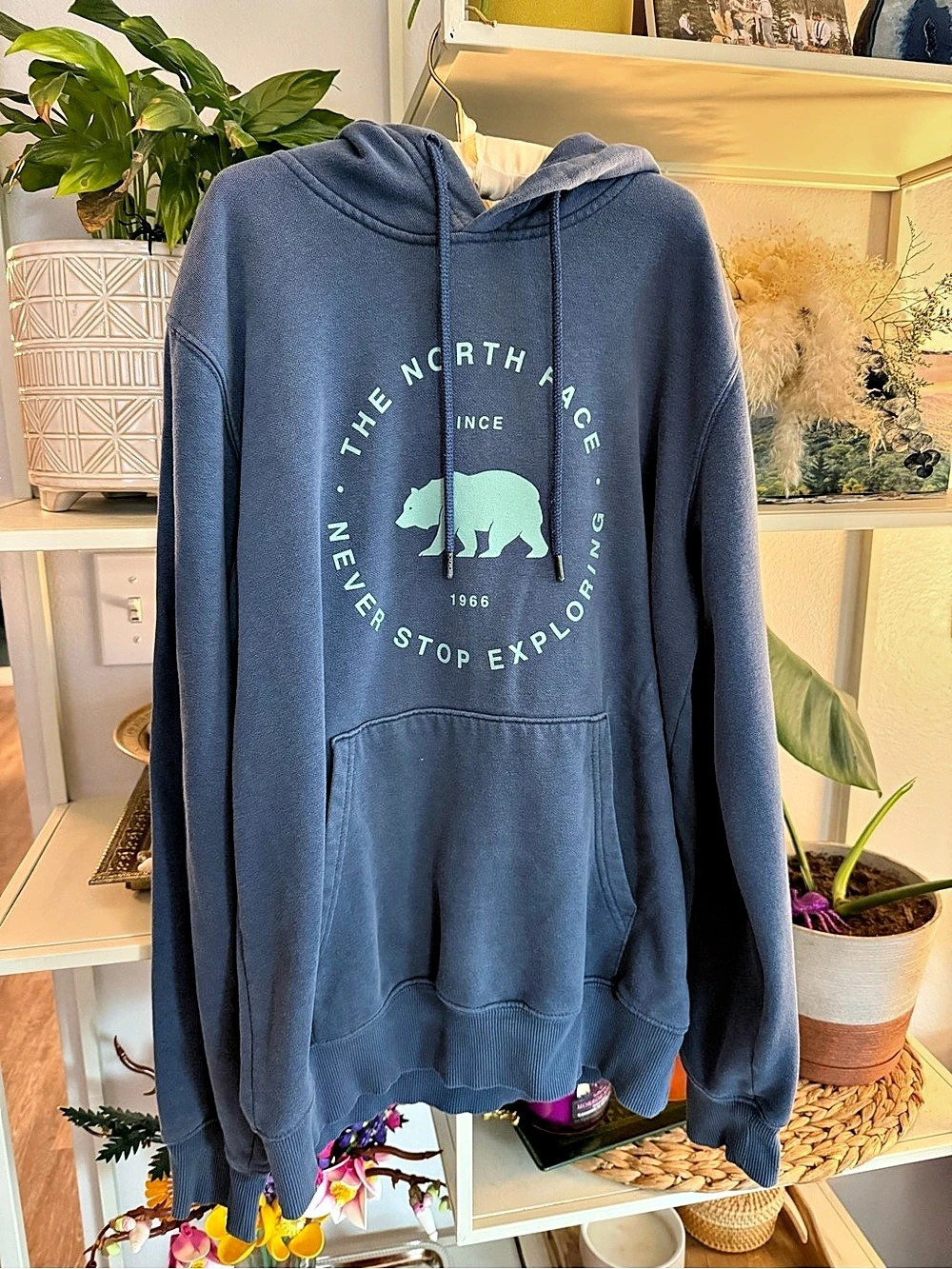 The North Face Evolution Bear Graphic Hoodie Blue Small
